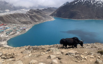 Gokyo Renjo La Pass Trek 2026/ 2027